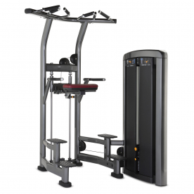Life Fitness Insignia Series Assist Dip Chin