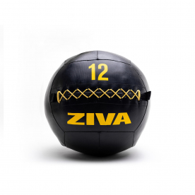 Ziva 12Kg Performance Wall Ball