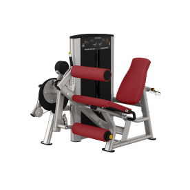 Axiom Series Seated Leg Curl/Extension * 