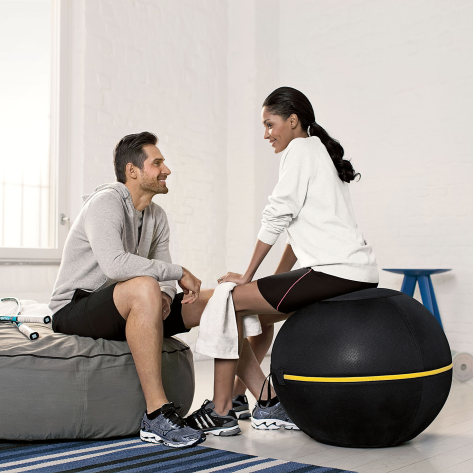 Technogym Wellness Ball Active Sitting - 65cm
