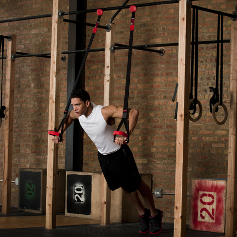 Lifeline Jungle Gym XT Suspension Training System