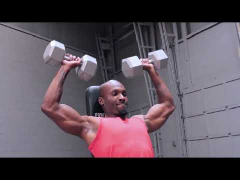 Powerline Flat/Incline Bench