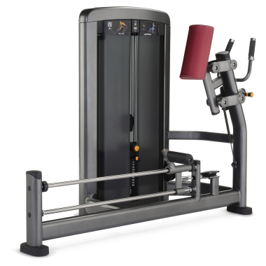 image of Life Fitness Insignia Series Glute