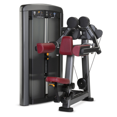 image of Life Fitness Insignia Series Lateral Raise