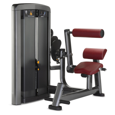 image of Life Fitness Insignia Series Back Extension