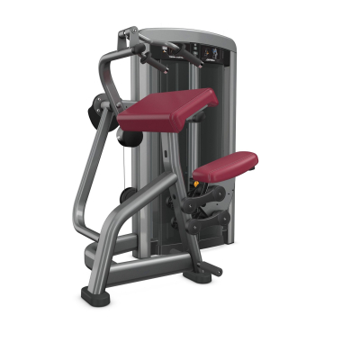 image of Life Fitness Insignia Series Triceps Extension