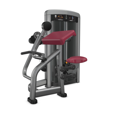 image of Life Fitness Insignia Series Biceps Curl Dependant